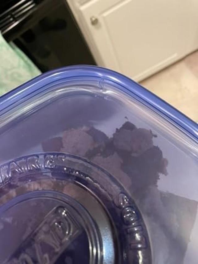 Broken GladWare container lid