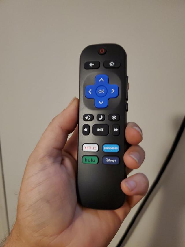 Roku TV remote with dog