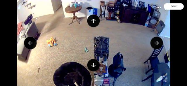 Ring Pan-Tilt Indoor Cam monitoring a living room