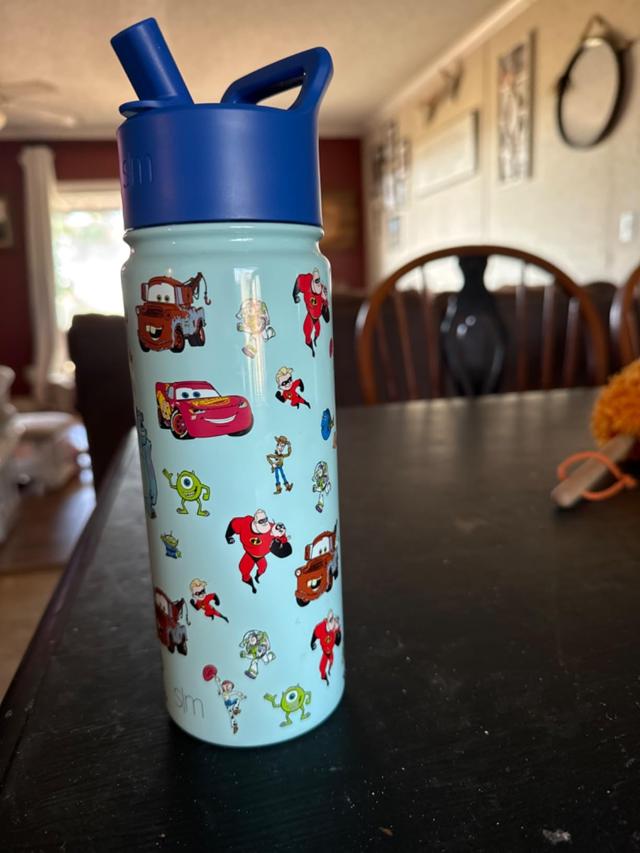 Simple Modern Disney Princess Kids Water Bottle