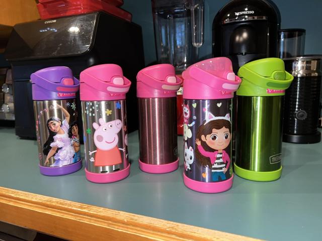 THERMOS FUNTAINER Water Bottle collection