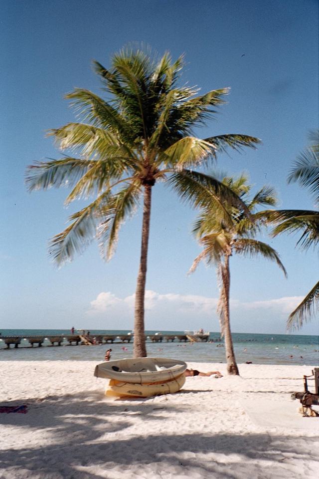 Beach scene captured with Kodak Gold 200