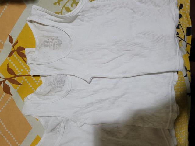 Cotton T-Shirt for School Uniforms