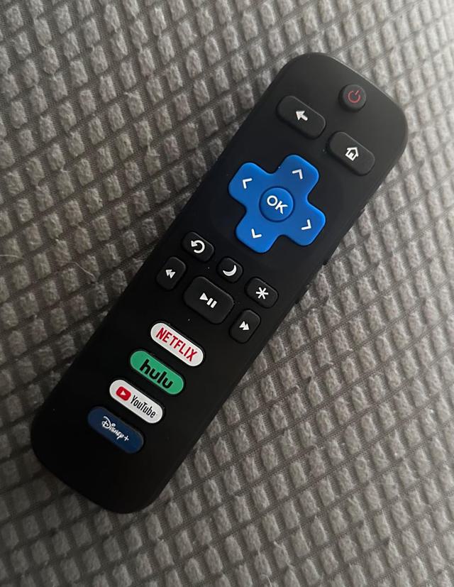 Remote with dog