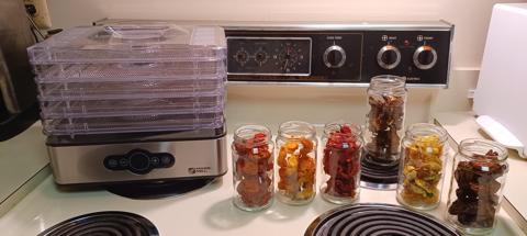 Dried Fruits from Magic Mill