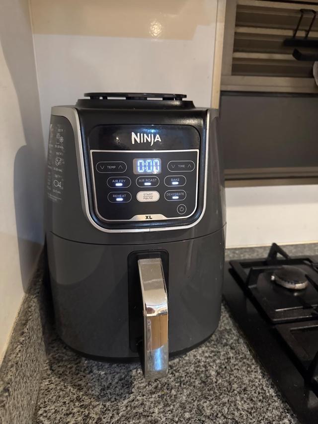 Ninja Air Fryer example dish