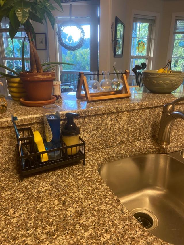 Cisily Sink Caddy with various kitchen cleaning tools