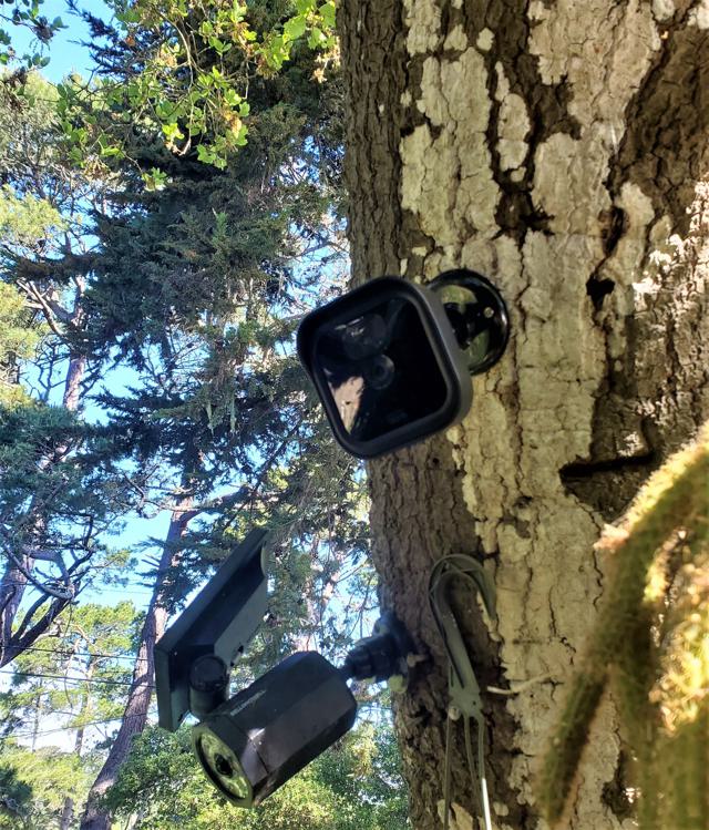 Blink Outdoor Camera Mount