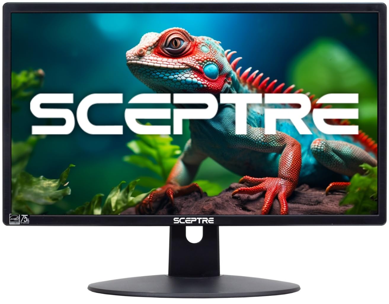 Sceptre 20 inch Monitor