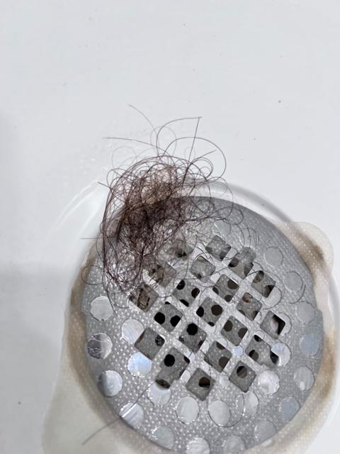 KUNDAL Shampoo Result